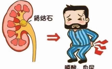 客户案例