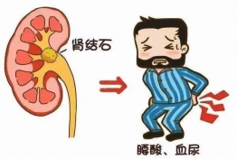 客户案例